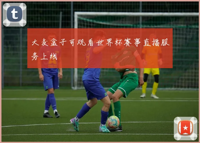 大麦盒子可观看世界杯赛事直播服务上线