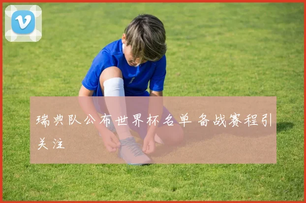 瑞典队公布世界杯名单 备战赛程引关注
