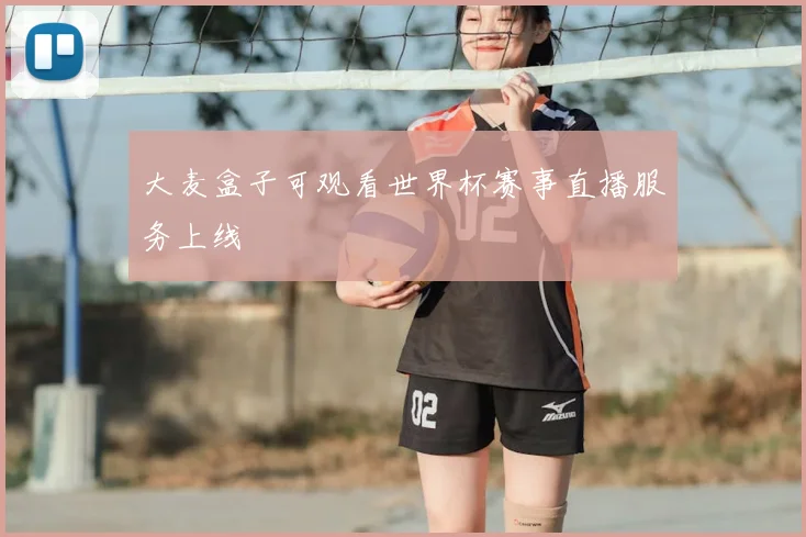 大麦盒子可观看世界杯赛事直播服务上线